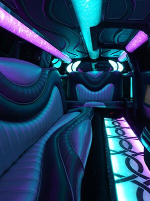 metro detroit's premier limousine service